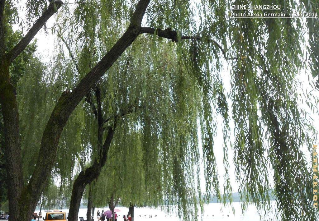 Alexia-Hangzhou 060.JPG